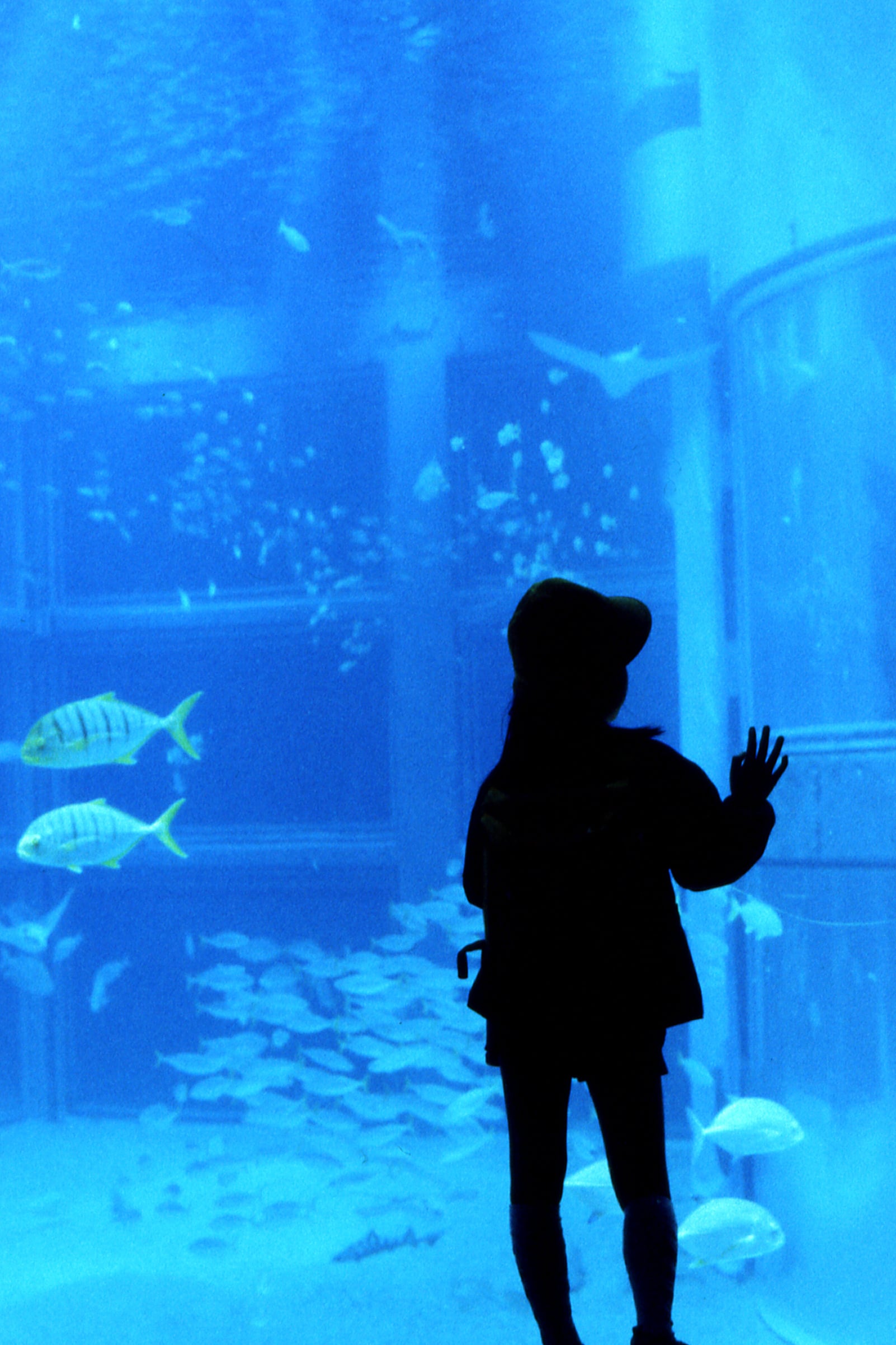 Osaka Aquarium, Osaka 1992