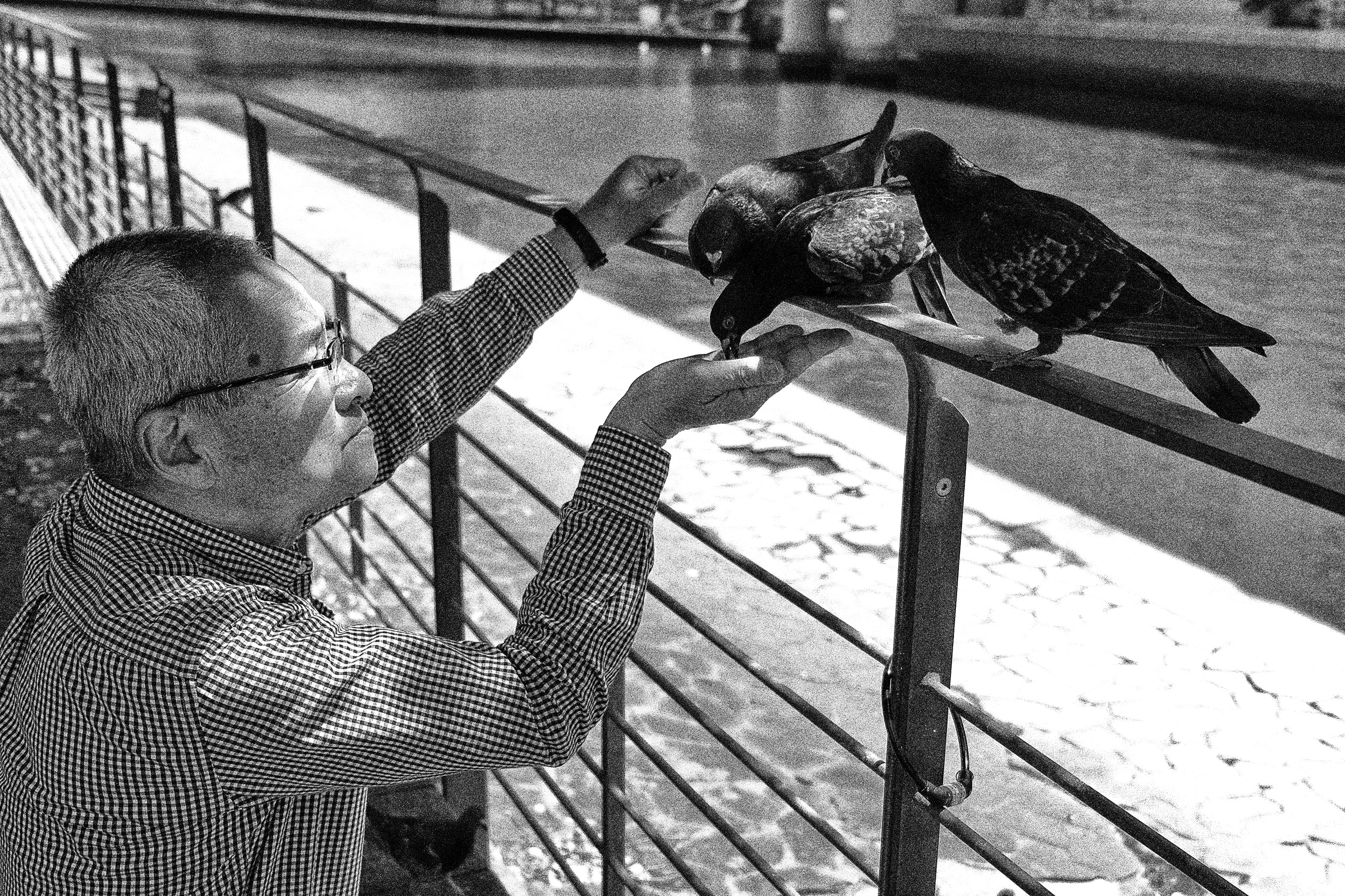 Documentary photography by Ray Holland - Japan 2024 (30)