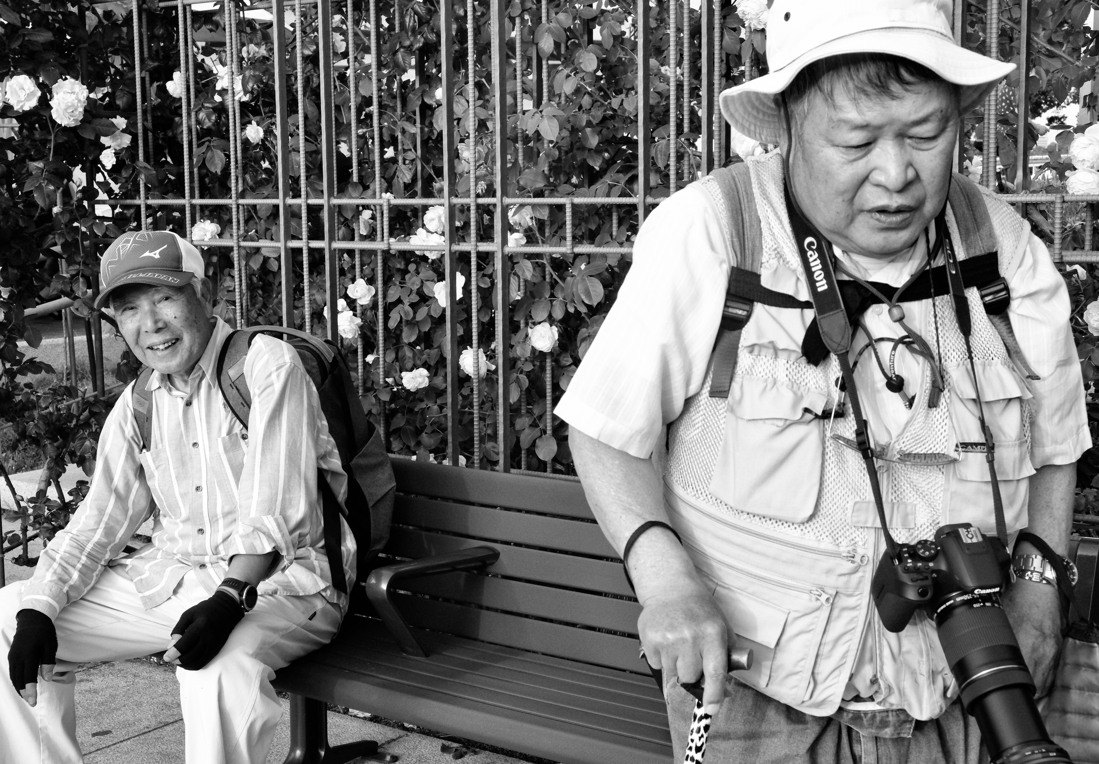 Documentary photography by Ray Holland - Japan 2024 (41)