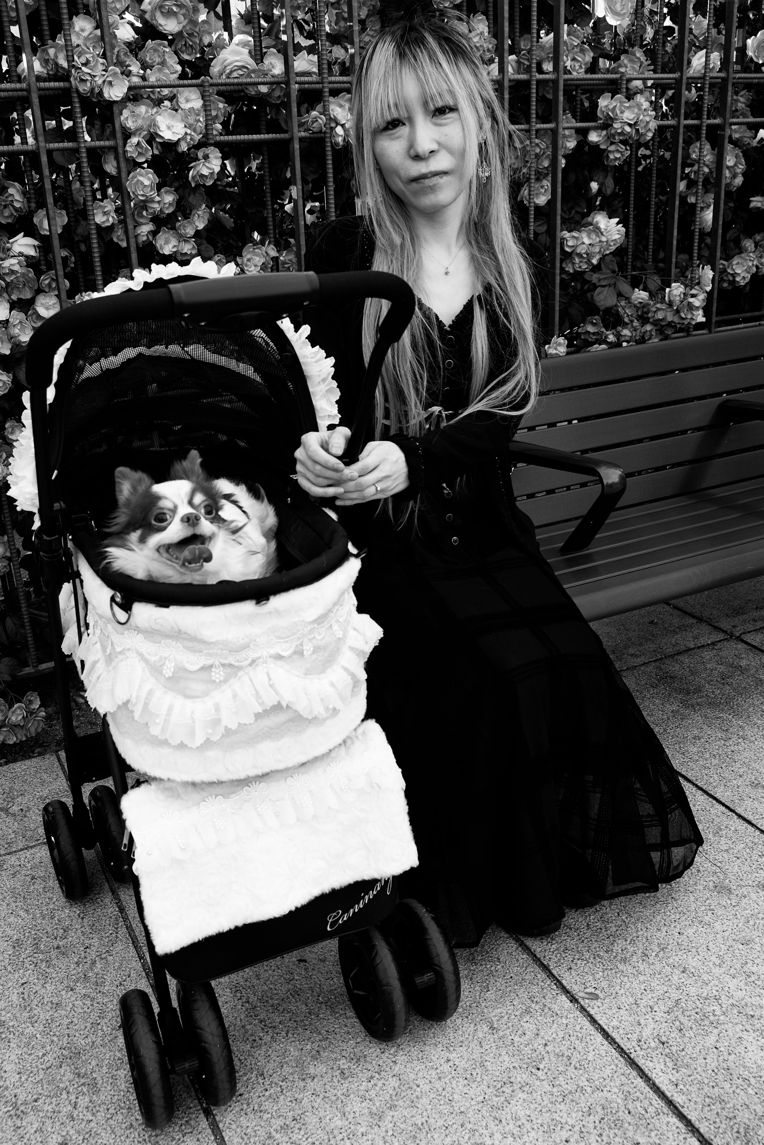 Documentary photography by Ray Holland - Jappan 2024 (7)